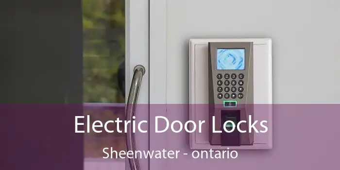 Electric Door Locks Sheenwater - ontario