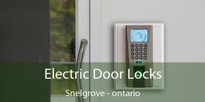 Electric Door Locks Snelgrove - ontario
