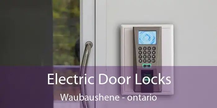 Electric Door Locks Waubaushene - ontario