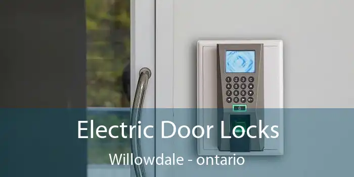 Electric Door Locks Willowdale - ontario