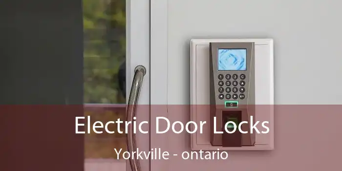 Electric Door Locks Yorkville - ontario
