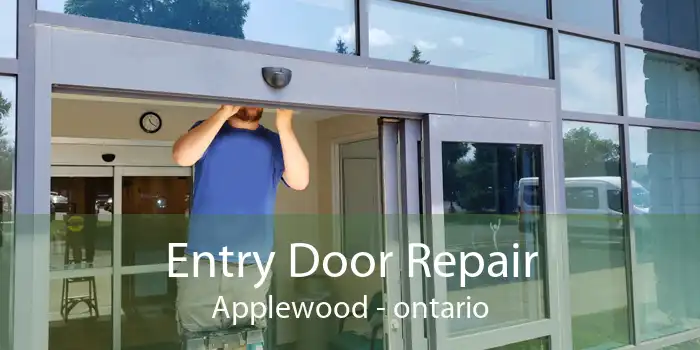 Entry Door Repair Applewood - ontario