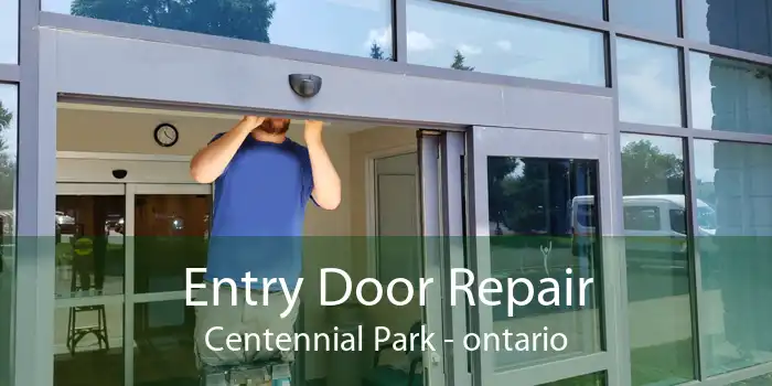 Entry Door Repair Centennial Park - ontario