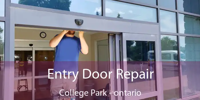 Entry Door Repair College Park - ontario