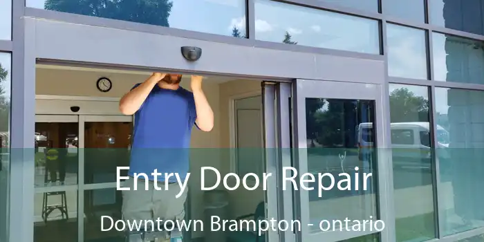 Entry Door Repair Downtown Brampton - ontario