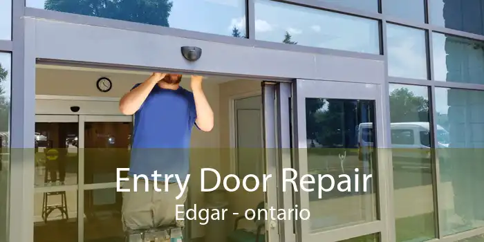 Entry Door Repair Edgar - ontario