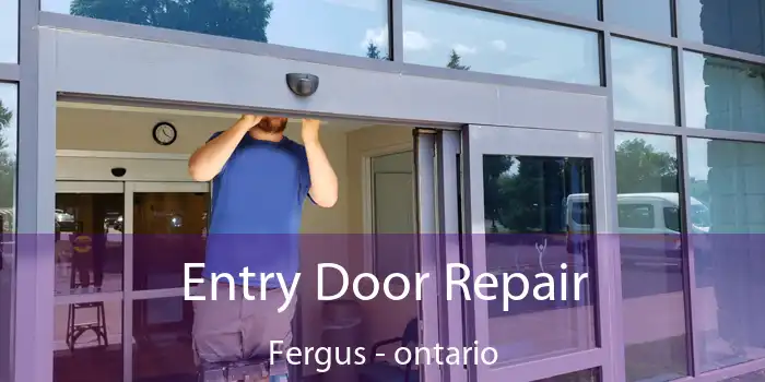 Entry Door Repair Fergus - ontario