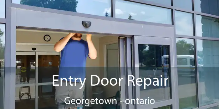 Entry Door Repair Georgetown - ontario