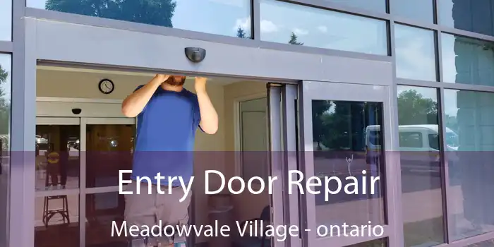 Entry Door Repair Meadowvale Village - ontario