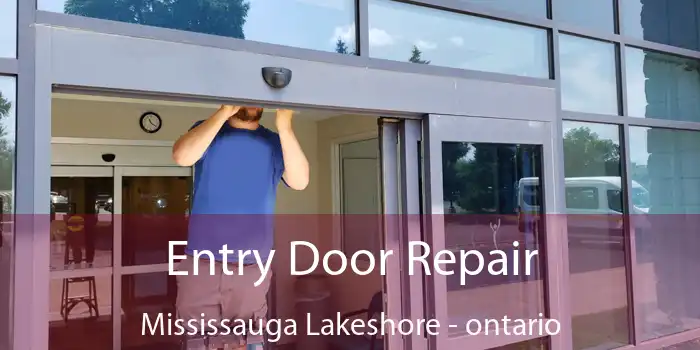 Entry Door Repair Mississauga Lakeshore - ontario