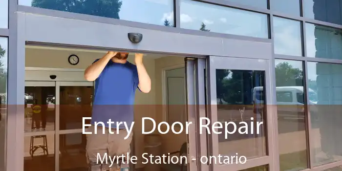 Entry Door Repair Myrtle Station - ontario