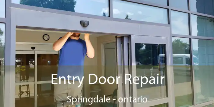 Entry Door Repair Springdale - ontario
