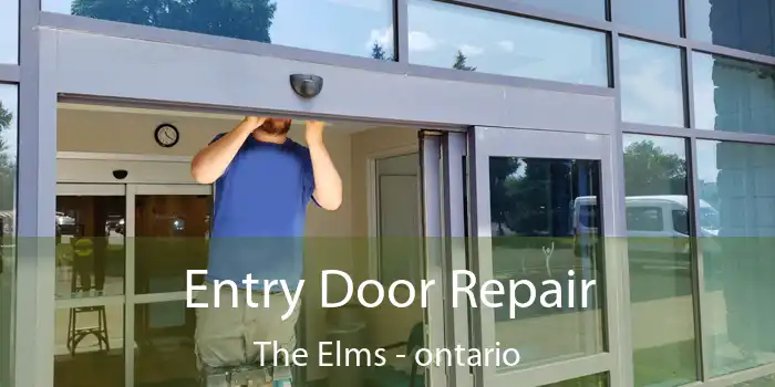 Entry Door Repair The Elms - ontario