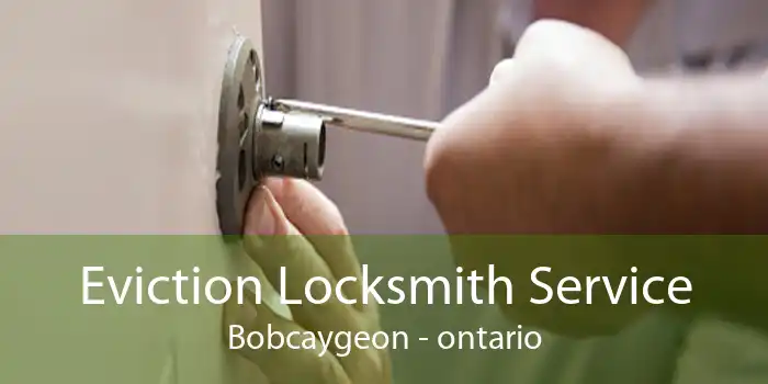 Eviction Locksmith Service Bobcaygeon - ontario