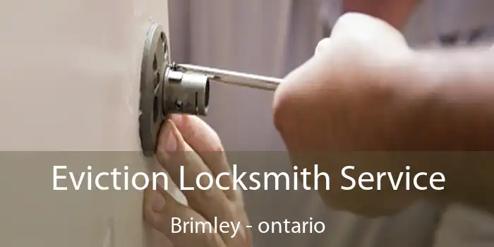 Eviction Locksmith Service Brimley - ontario