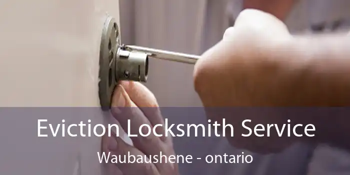 Eviction Locksmith Service Waubaushene - ontario