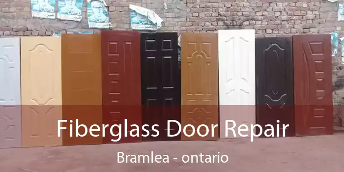 Fiberglass Door Repair Bramlea - ontario