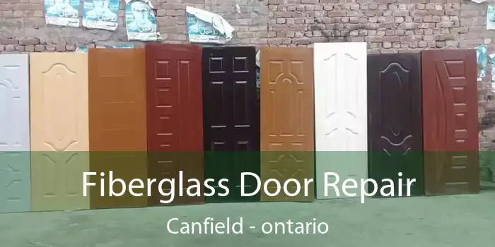 Fiberglass Door Repair Canfield - ontario