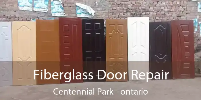 Fiberglass Door Repair Centennial Park - ontario
