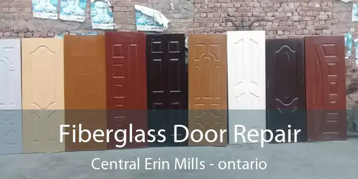 Fiberglass Door Repair Central Erin Mills - ontario