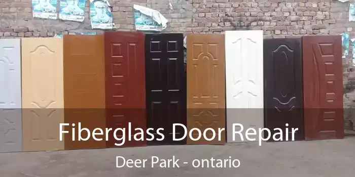 Fiberglass Door Repair Deer Park - ontario