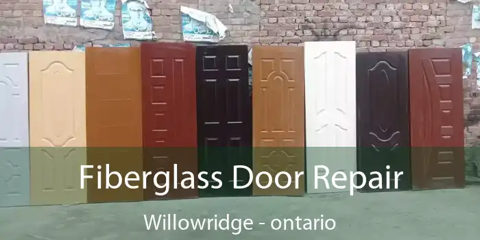 Fiberglass Door Repair Willowridge - ontario
