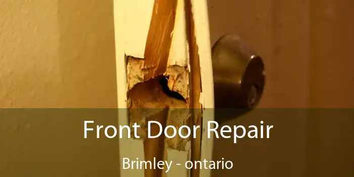 Front Door Repair Brimley - ontario