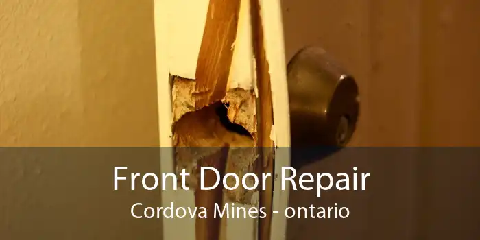 Front Door Repair Cordova Mines - ontario