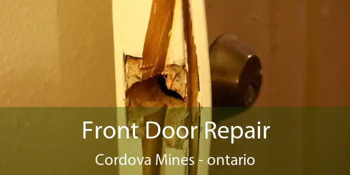 Front Door Repair Cordova Mines - ontario