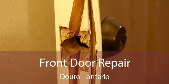 Front Door Repair Douro - ontario
