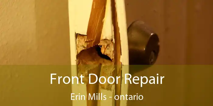 Front Door Repair Erin Mills - ontario