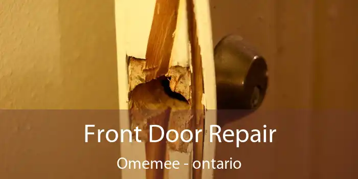 Front Door Repair Omemee - ontario