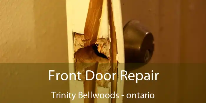 Front Door Repair Trinity Bellwoods - ontario