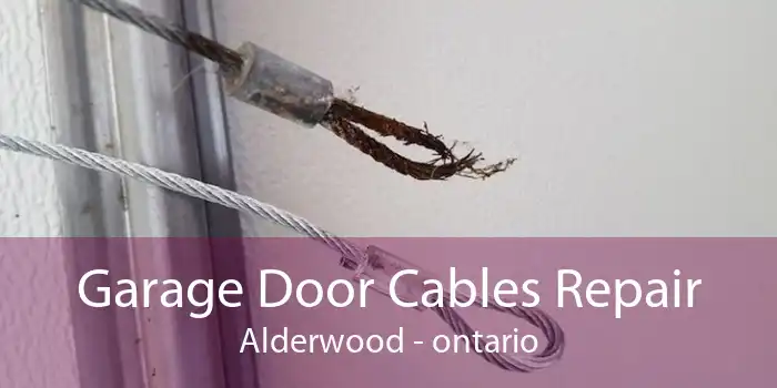 Garage Door Cables Repair Alderwood - ontario