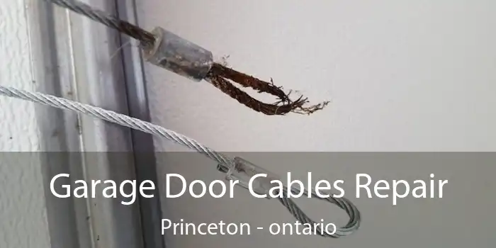 Garage Door Cables Repair Princeton - ontario