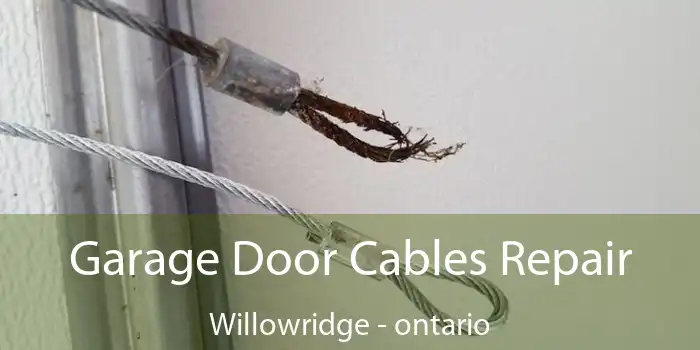 Garage Door Cables Repair Willowridge - ontario