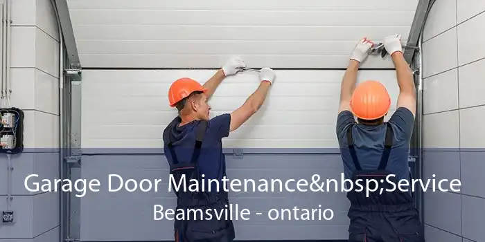 Garage Door Maintenance Service Beamsville - ontario