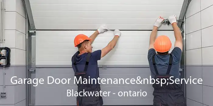Garage Door Maintenance Service Blackwater - ontario