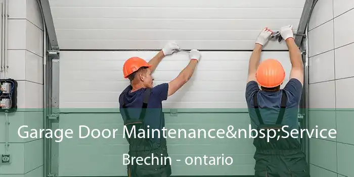 Garage Door Maintenance Service Brechin - ontario