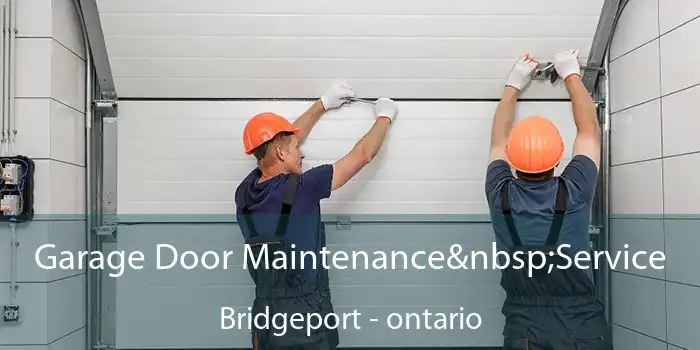 Garage Door Maintenance Service Bridgeport - ontario