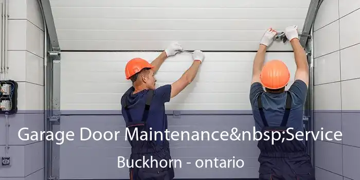 Garage Door Maintenance Service Buckhorn - ontario
