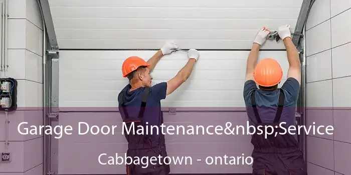 Garage Door Maintenance Service Cabbagetown - ontario
