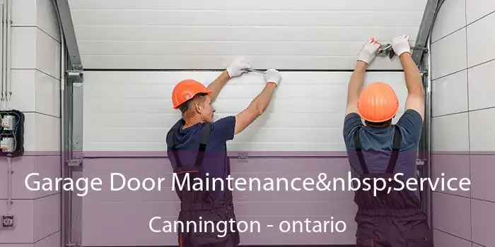 Garage Door Maintenance Service Cannington - ontario