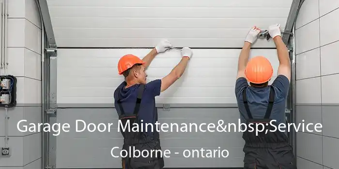 Garage Door Maintenance Service Colborne - ontario