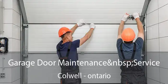 Garage Door Maintenance Service Colwell - ontario