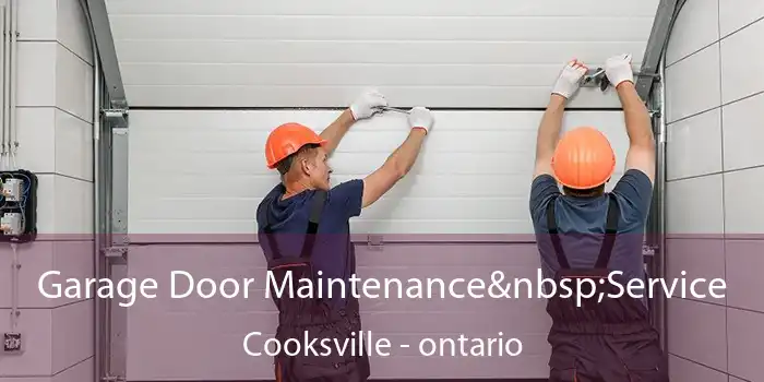 Garage Door Maintenance Service Cooksville - ontario