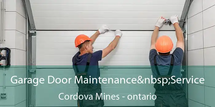 Garage Door Maintenance Service Cordova Mines - ontario