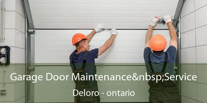 Garage Door Maintenance Service Deloro - ontario