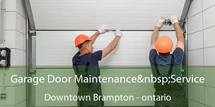 Garage Door Maintenance Service Downtown Brampton - ontario