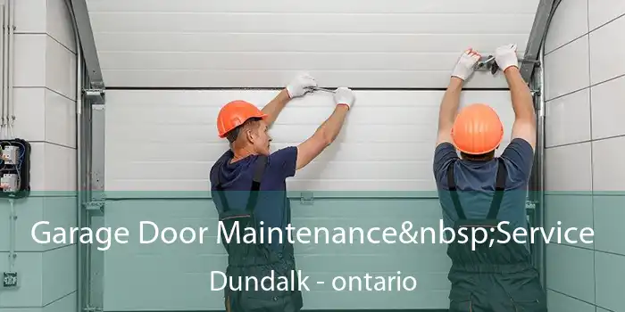 Garage Door Maintenance Service Dundalk - ontario